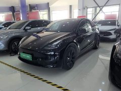 Tesla Model Y Rear-Wheel Drive - photo 1