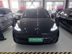 Tesla Model Y Rear-Wheel Drive - photo 2