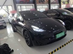 Tesla Model Y Rear-Wheel Drive - photo 3