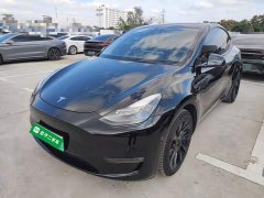 Tesla Model Y Standard Range RWD - ფოტო 1