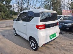 Wuling Hongguang MINIEV Easy Edition LFP Battery - photo 4