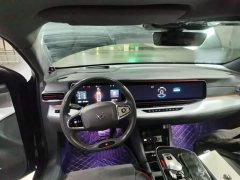 Arcfox Alpha S HI Edition Advanced Version - ფოტო 10