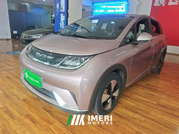 BYD Dolphin 420km Freedom Edition