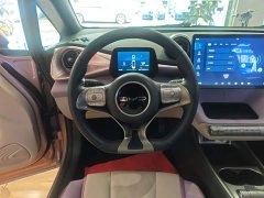 BYD Dolphin 420km Freedom Edition - ფოტო 10