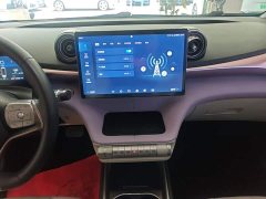 BYD Dolphin 420km Freedom Edition - ფოტო 12