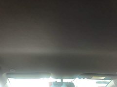 BYD Dolphin 420km Freedom Edition - ფოტო 17