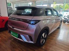 BYD Dolphin 420km Freedom Edition - ფოტო 6