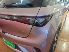 BYD Dolphin 420km Freedom Edition - ფოტო 7