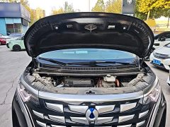 Denza D9 DM-i 970 AWD Flagship - фото 19