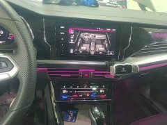 Volkswagen Passat Outstanding Edition 380TSI Dragon Ascendant Version - ფოტო 12