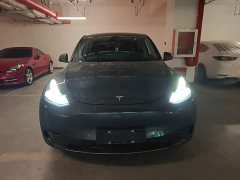 Tesla Model Y Rear-Wheel Drive - ფოტო 2
