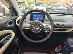 Wuling Binguo 203km Light Enjoy Edition - ფოტო 10