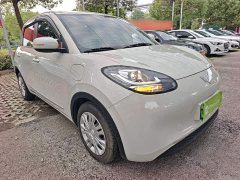 Wuling Binguo 203km Light Enjoy Edition - ფოტო 3