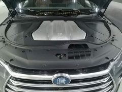BYD Tang New Energy DM-i 112KM Premium Edition - ფოტო 19