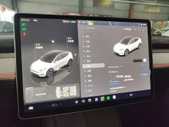 Tesla Model Y Rear-Wheel Drive - ფოტო 11
