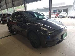 Tesla Model Y Rear-Wheel Drive - ფოტო 3