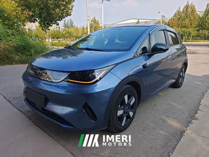 BYD Dolphin Smart Drive 410km Fashion Edition - автомобиль из Китая