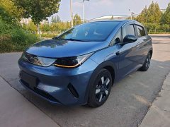BYD Dolphin Smart Drive 410km Fashion Edition - фото 1