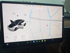 Tesla Model 3 Standard Range RWD Upgrade - фото 11