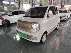 FAW Besturn Xiaoma 222km Shining Edition - ფოტო 1