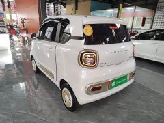 FAW Besturn Xiaoma 222km Shining Edition - ფოტო 4