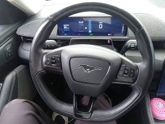 Ford Mustang Mach-E Boundless RWD Luxury Long Range - ფოტო 10