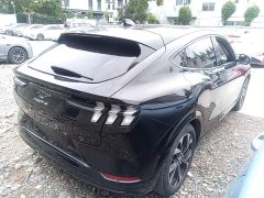 Ford Mustang Mach-E Boundless RWD Luxury Long Range - ფოტო 6