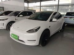 Tesla Model Y Standard Range RWD - ფოტო 1