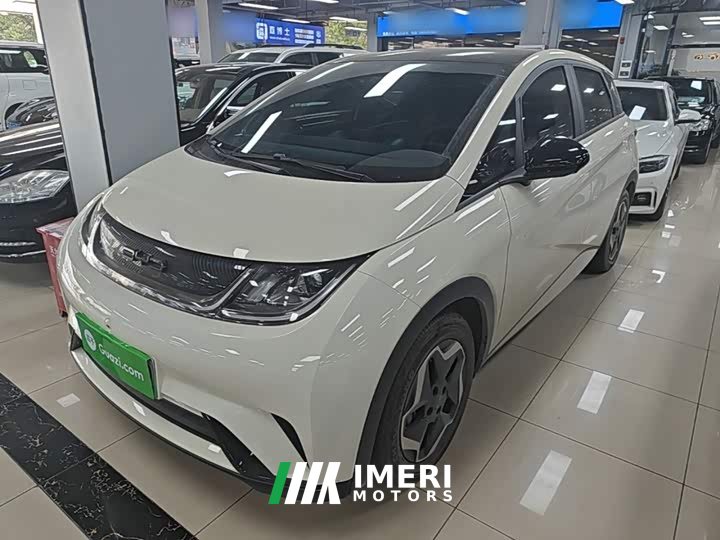 BYD Dolphin 405km Fashion Edition
