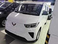 Wuling Yangguang 310KM Coach Edition CATL Customized Edition - ფოტო 1