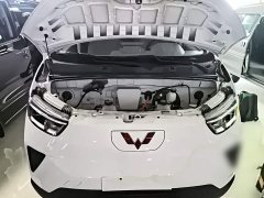 Wuling Yangguang 310KM Coach Edition CATL Customized Edition - ფოტო 19
