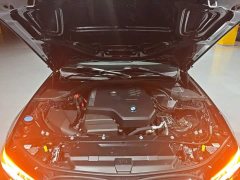 BMW 3 Series Facelift 320Li M Sport Package - ფოტო 19
