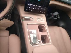 NIO ES8 75kWh Executive - ფოტო 13