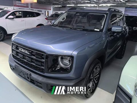 2025 Great Wall Dachshund 1.5T DCT Border Collie Edition - автомобиль из Китая