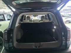 Great Wall Dachshund 1.5T DCT Border Collie Edition - ფოტო 18