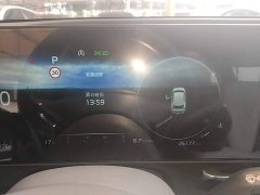 Kia Lion Platinum Tuojie 1.5T 2WDPremiumSmart Edition - фото 11