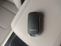 Kia Lion Platinum Tuojie 1.5T 2WDPremiumSmart Edition - фото 8