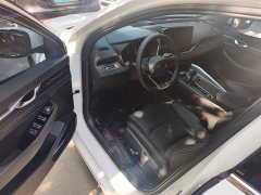 Geely Xingrui 1.5T Diesel Fuyao Edition - ფოტო 15