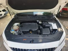 Geely Xingrui 1.5T Diesel Fuyao Edition - ფოტო 19