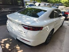 Geely Xingrui 1.5T Diesel Fuyao Edition - ფოტო 6