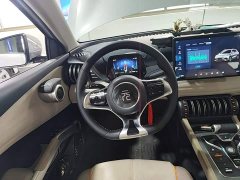 BYD Yuan Plus Glory Edition 430KM Transcend - ფოტო 10