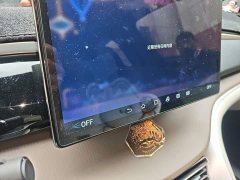 BYD Song Pro New Energy DM-i 51km Premium - photo 5