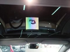 Tesla Model 3 Rear-Wheel Drive - ფოტო 17
