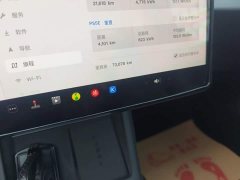 Tesla Model 3 Long Range All-Wheel Drive - ფოტო 11