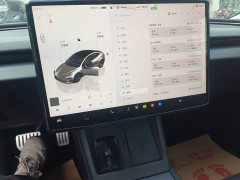 Tesla Model 3 Long Range All-Wheel Drive - ფოტო 12