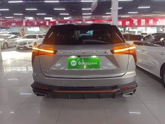 Haval Divine Beast 1.5T Smart Enjoy Edition - фото 5
