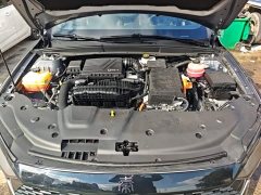 BYD Qin Plus DM-i 55KM Flagship - ფოტო 19