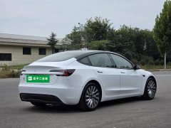 Tesla Model 3 Rear-Wheel Drive - ფოტო 6