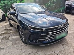BYD Destroyer 05 Glory Edition DM-i 55KM Luxury - фото 3