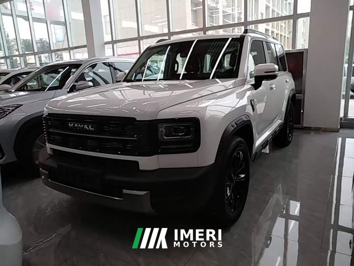 Haval Manlong New Energy Hi4 200 Ultra Ternary Lithium - car from China